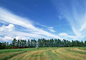 地元徳島で葬儀を行い50年の実績と信頼