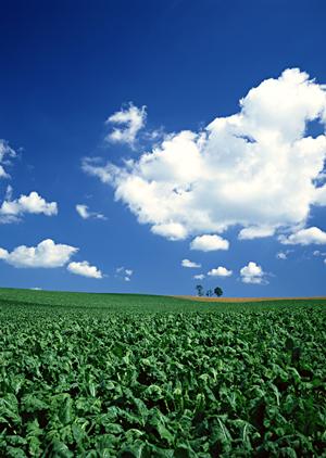 あなたのビジネスを次のレベルに引き上げる！成功へ導くWebサイトとGoogleビジネスプロフィール最適化の秘訣