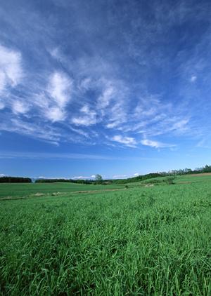 浜松市中央区の家族葬と葬儀場なら【富士葬祭 三方原】? プライバシー重視の洗練された施設と充実のサービス