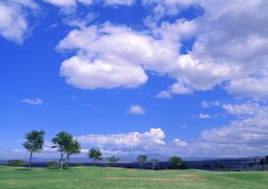 越谷市で信頼と安心の葬儀を提供するティア越谷の特徴と店舗案内