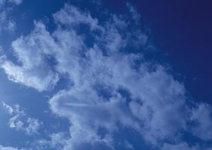 【公式】家族葬のタクセル新緑町｜栃木県那須塩原市の家族葬・斎場・葬儀場の詳細ガイド