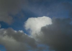 静岡市で信頼できる葬儀場をお探しの方に：富士葬祭 慈悲尾の特色とサービス概要