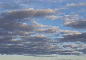 静岡県浜松市で安心・低価格の家族葬を実現！家族葬のタクセル天王の魅力と利用ガイド