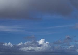 安心して選べる！さいたま市で人気の家族葬プランと信頼できる葬儀社の最新ガイド