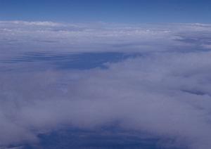 勝沼のペット供養事情と選び方を徹底解説！2026年最新ガイド